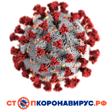 Стопкоронавирус